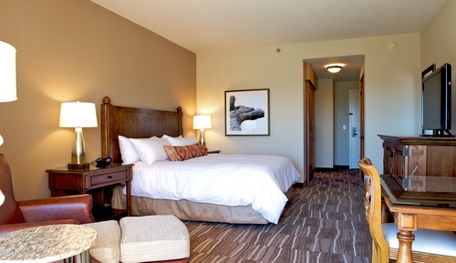 Room, 1 King Bed (Mobility/Hearing Accessible, Tub)