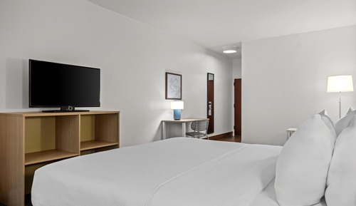 Room, 1 King Bed with Sofa bed, Roll-in Shower