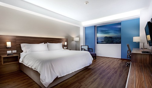 Room, 1 King Bed