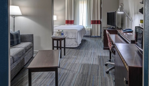 Suite, 1 King Bed with Sofa bed