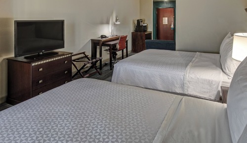 Suite, Multiple Beds