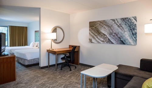 Suite, 1 King Bed with Sofa bed, Non Smoking