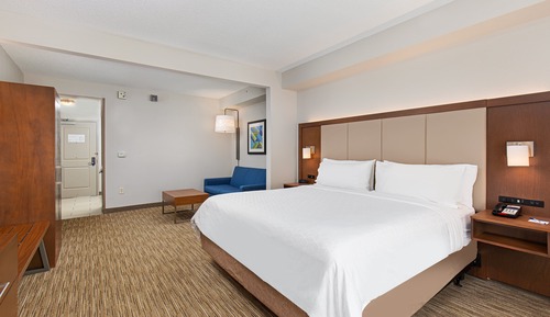 Suite, 1 King Bed