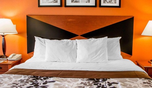 Room, 1 King Bed, Accessible, Non Smoking