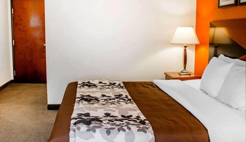Standard Room, 1 King Bed, Non Smoking