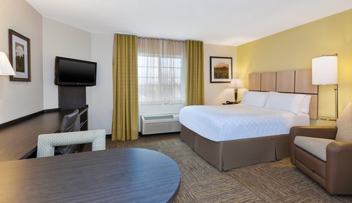 Studio Suite, 1 Queen Bed
