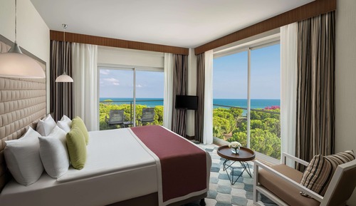 Executive Room