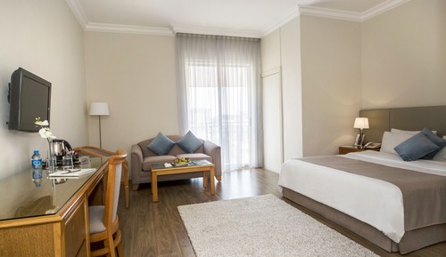Suite, 1 King Bed