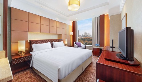Deluxe Suite (Business Class)