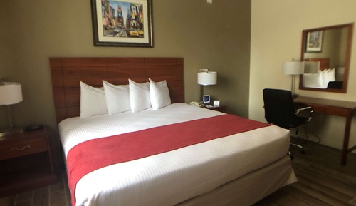Standard Room, 1 King Bed, Non Smoking, Refrigerator & Microwave