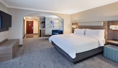 Suite, 1 King Bed with Sofa bed (Additional Living Area)