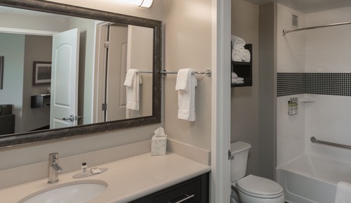 Studio Suite, 1 King Bed, Kitchen