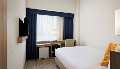 Room, 1 Twin Bed