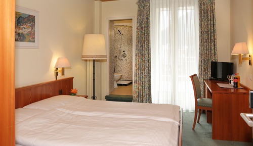Standard Double or Twin Room, 2 Twin Beds, Balcony, Mountain View