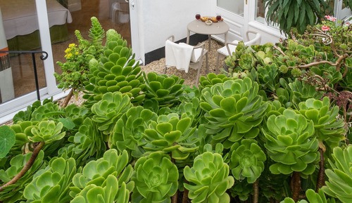 Studio (Samphire Studio)