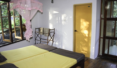 Standard Tree House, 1 Bedroom, Garden View, Garden Area