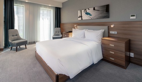 Room, 1 Queen Bed, Accessible