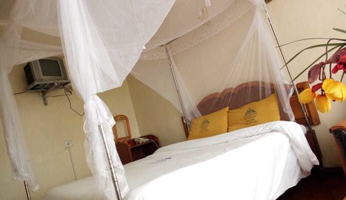 Standard Single Room, 1 Twin Bed, Non Smoking