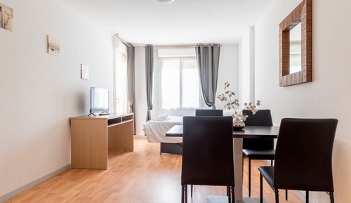 Comfort Apartment