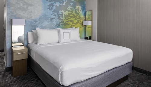 Room, 1 King Bed with Sofa bed, Non Smoking