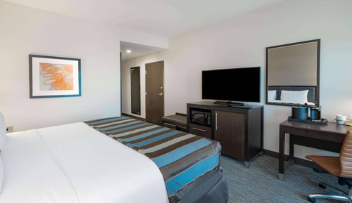 Room, 1 King Bed, Mobility Accessible, Non Smoking (Bathtub W/grab Bars)