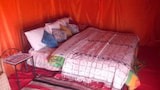 Basic Tent