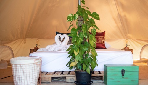 Premium Tent, Private Bathroom, Garden View