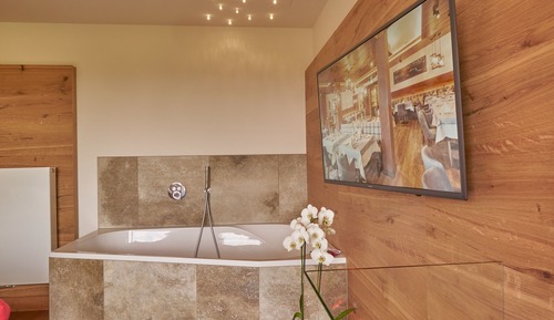Business Studio, 1 Bedroom, Bathtub, Mountain View (Cox Ponoma)