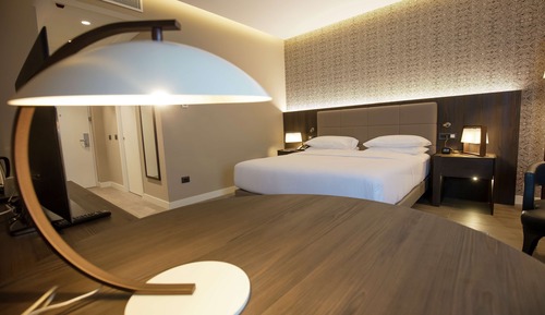 Superior Room, 1 King Bed, View
