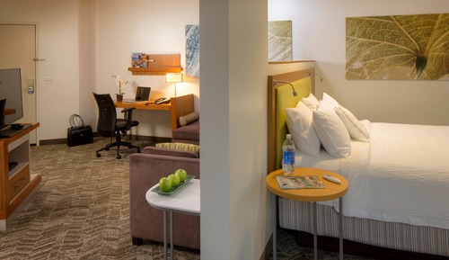 Executive Suite, 1 King Bed with Sofa bed