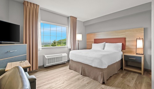Studio Suite, 1 Queen Bed