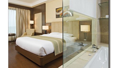 Premier Double Room