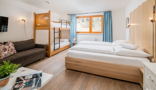 Comfort Apartment, 1 Bedroom
