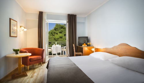 Standard Double Room Single Use