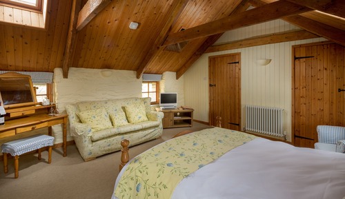 Standard Double Room (The Acorn Loft)