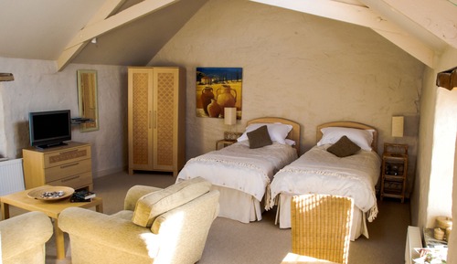Deluxe Double or Twin Room (The Granary)