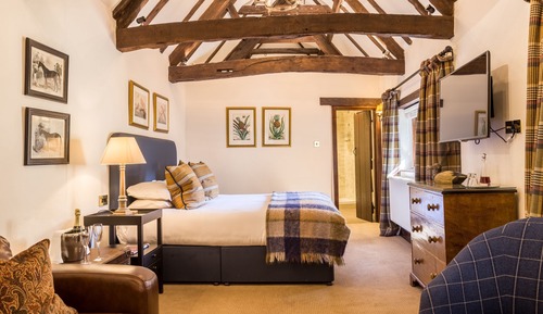 Garden Suite