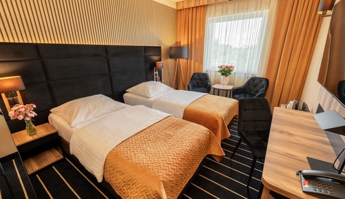 Business Twin Room