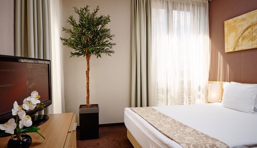 Standard Apartment