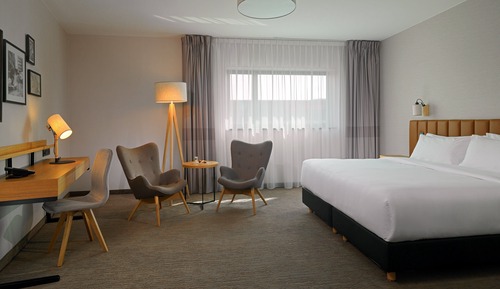 Executive Room, 1 King Bed