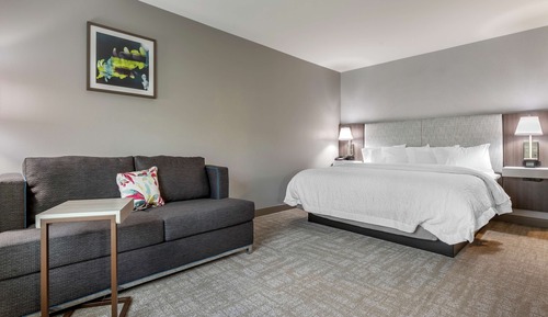 Room, 1 King Bed with Sofa bed, Refrigerator & Microwave