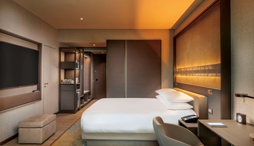 Room, 1 King Bed