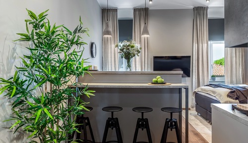 Deluxe Studio Suite (3rd floor)