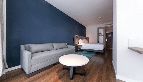 Suite, 1 King Bed with Sofa bed