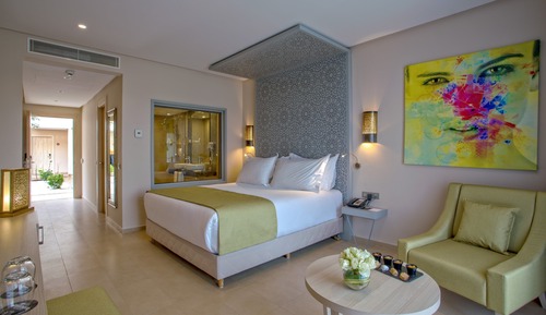Superior Double Room (for 1 person)