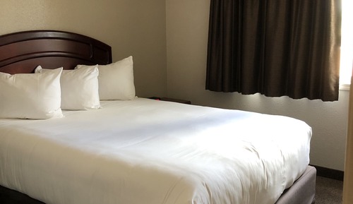 Room, 1 Queen Bed
