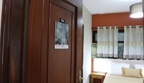 Double Room (Cascata de Pincaes)