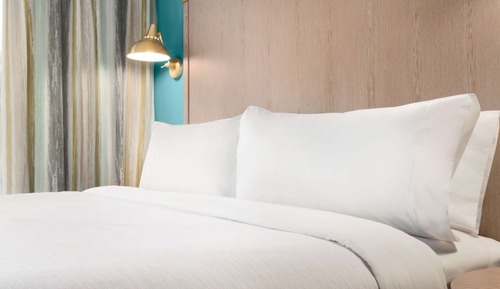 Suite, 1 King Bed, Accessible, Non Smoking (Roll-in Shower)
