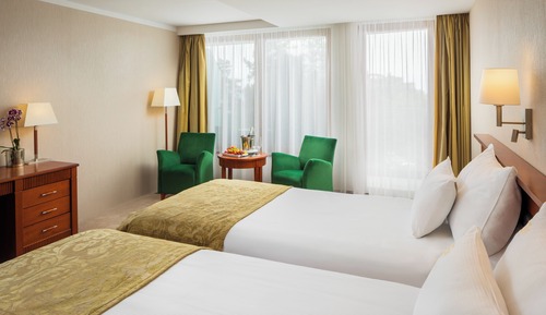 Superior Double or Twin Room, Balcony, Mountain View
