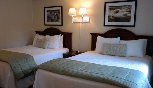Motel Double Queen - M3